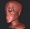 human_head_wip_01 human_head_wip_01